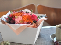Design Office Mago Craft Cardboard Gift Box
